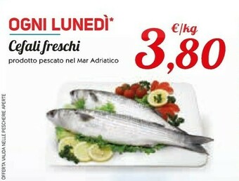 Conad Pesce offerta