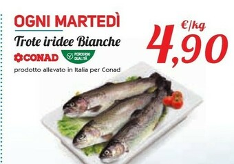 Conad Trota offerta