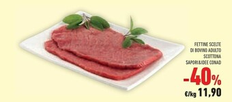 Conad Sapori Carne offerta