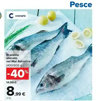 Cromaris Branzino Allevato
