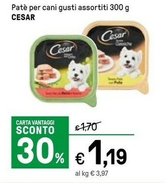Cesar Patè Per Cani