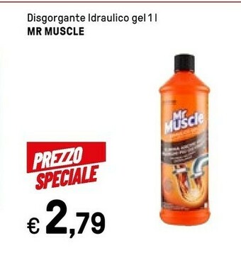 Iper La Grande Mr muscle Disgorgante Idraulico Gel offerta
