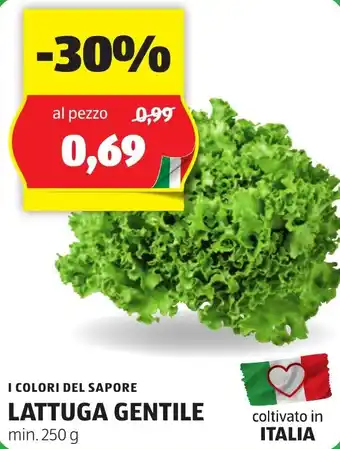I COLORI DEL SAPORE LATTUGA GENTILE min. 250 g