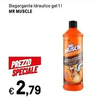 Iper La Grande Mr muscle Disgorgante Idraulico Gel offerta