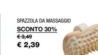 Iper La Grande Spazzola Da Massaggio offerta