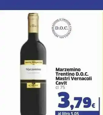 Sigma Mastri Vernacoli - Marzemino Trentino DOC Italia 750 G(ml) offerta