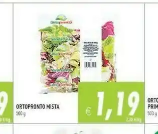 Iperfamily Ortopronto Insalata offerta