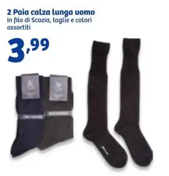 In'S Mercato 2 Paia calza lunga uomo in filo di Scozia, taglie e colori assortiti offerta