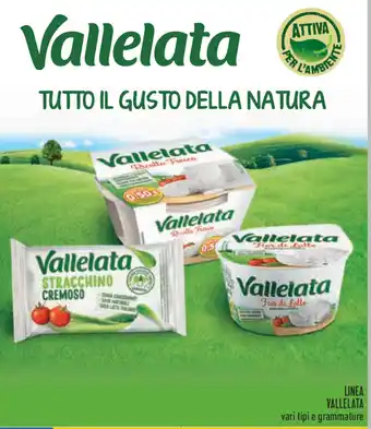 Conad Vallelata Linea offerta