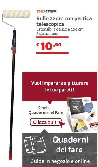 Bricocenter Dexter Rullo 22 Cm Con Pertica Telescopica offerta