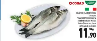 Conad Conad Branzino Italia Fresco Percorso Qualità offerta