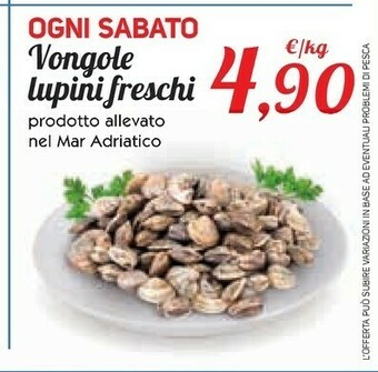 Conad Superstore Vongole offerta