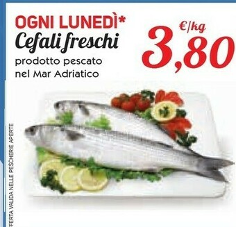 Conad Pesce offerta