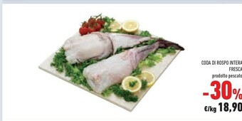 Conad Superstore Pesce offerta