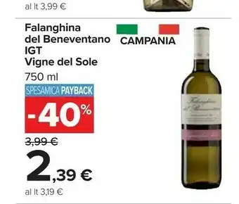 Carrefour Vigne Del Sole Falanghina Del Beneventano Igt offerta