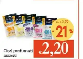 Galassia Fiori Profumati offerta