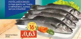 Galassia Branzino Fresco offerta