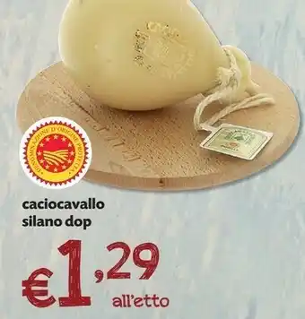 Pam Silano Formaggio offerta
