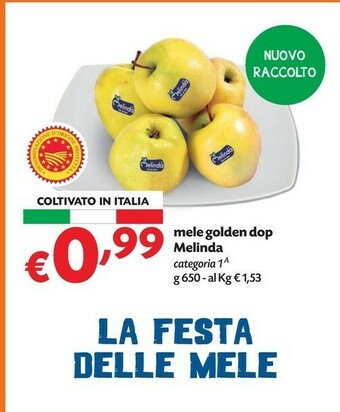 Pam Melinda Mele Golden offerta