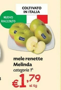 Pam Melinda Mele Golden offerta
