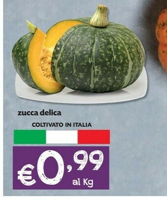 Pam Zucca offerta