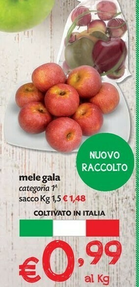 Pam Mele offerta