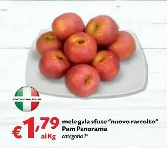 Pam Mele Gala Sfuse offerta