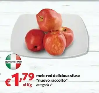 Pam Mele Red Delicius offerta