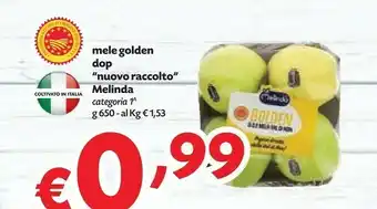 Pam Melinda Mele Golden Dop offerta