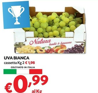 Pam Uva offerta