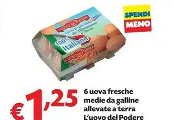 Pam L'uovo del podere 6 Uova Fresche Medie Da Galline Allevate A Terra offerta