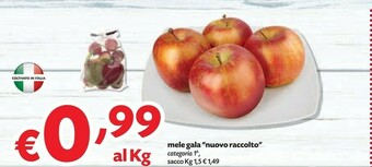 Pam Mele Gala offerta