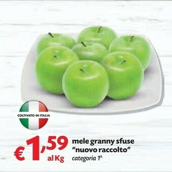 Pam Mele Granny Sfuse offerta