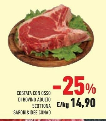 Conad Sapori Carne offerta