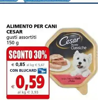 Il Gigante Cesar Cibo per cani offerta