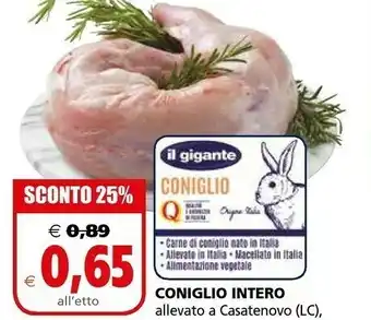 Il Gigante Coniglio offerta