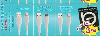Satur Kooper Cavo Ricarica Rapida Entrata Lightning offerta