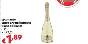 Blanc De Blancs Spumante Extra Dry Millesimat