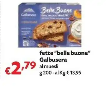 Pam Galbusera Belle Buone Fette Spesse Al Muesli Con Avena, Frutta, Noci Pecan E Semi 200 G(ml) offerta