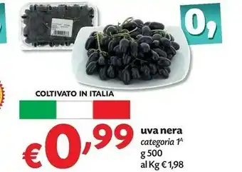 Pam Uva Nera offerta