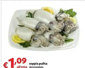 Pam Seppia Pulita offerta