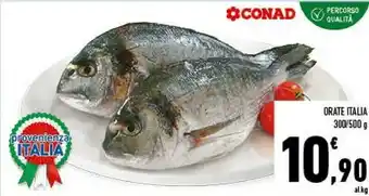 Conad Orate Italia offerta