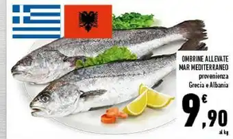 Ombrine Allevate Mar Mediterraneo