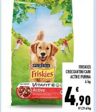 Conad Purina Friskies Croccantini Cani Active Purina offerta