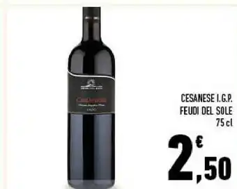 Conad Feudi del sole Cesanese IGP offerta