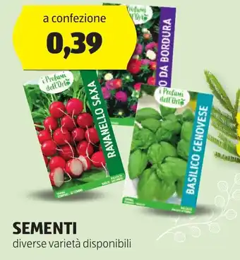 ALDI SEMENTI offerta