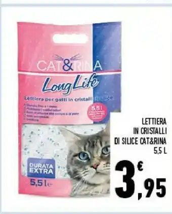 Conad Cat & Rina Lettiera In Cristalli Di Silice offerta