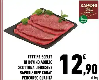 Conad Sapori Carne offerta