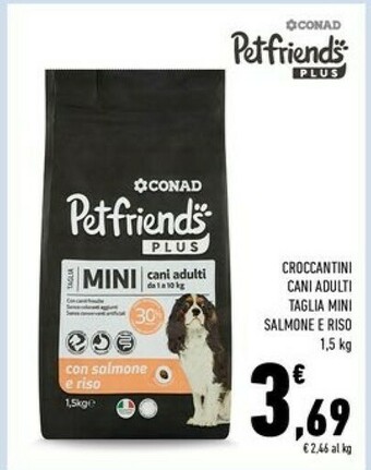 Conad Cibo per cani offerta