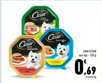 Conad Cesar Cibo per cani offerta